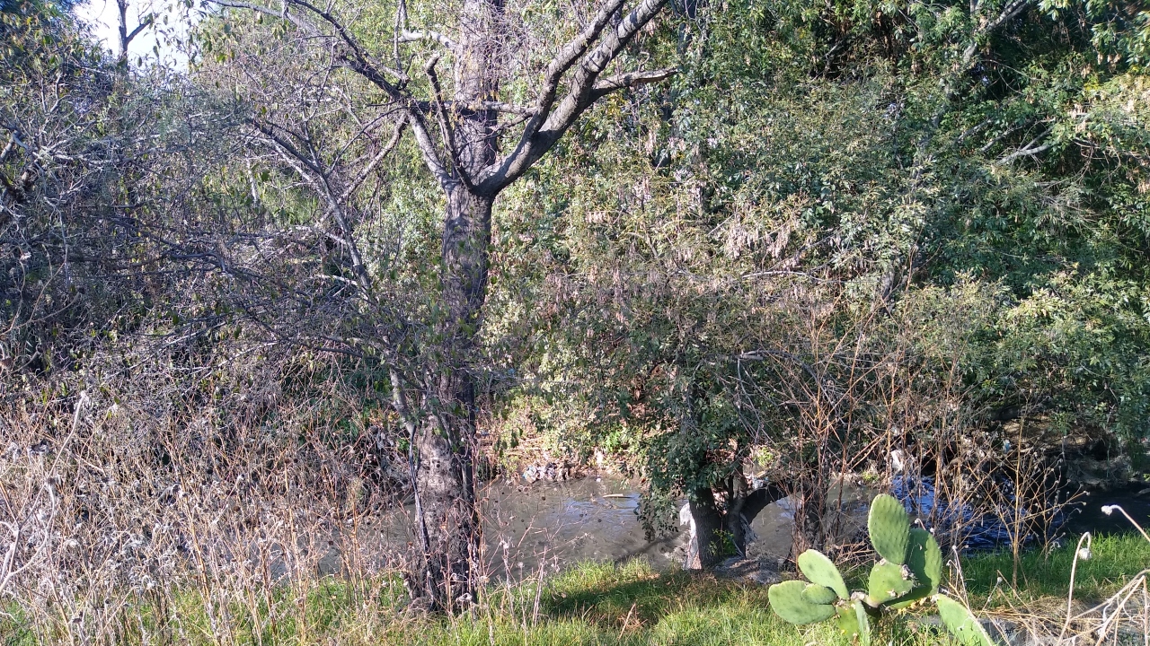 Aprueban estudio para captación de aguas residuales en el Atoyac