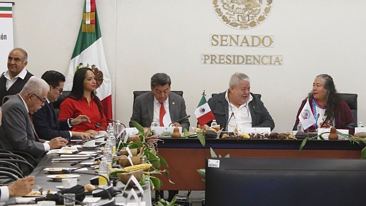 Liz Sánchez, en contra del maíz transgénico