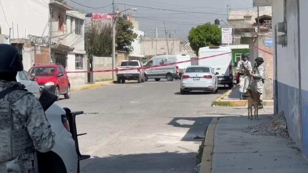 Encuentran 4 cuerpos en fosas clandestinas en San Antonio Abad