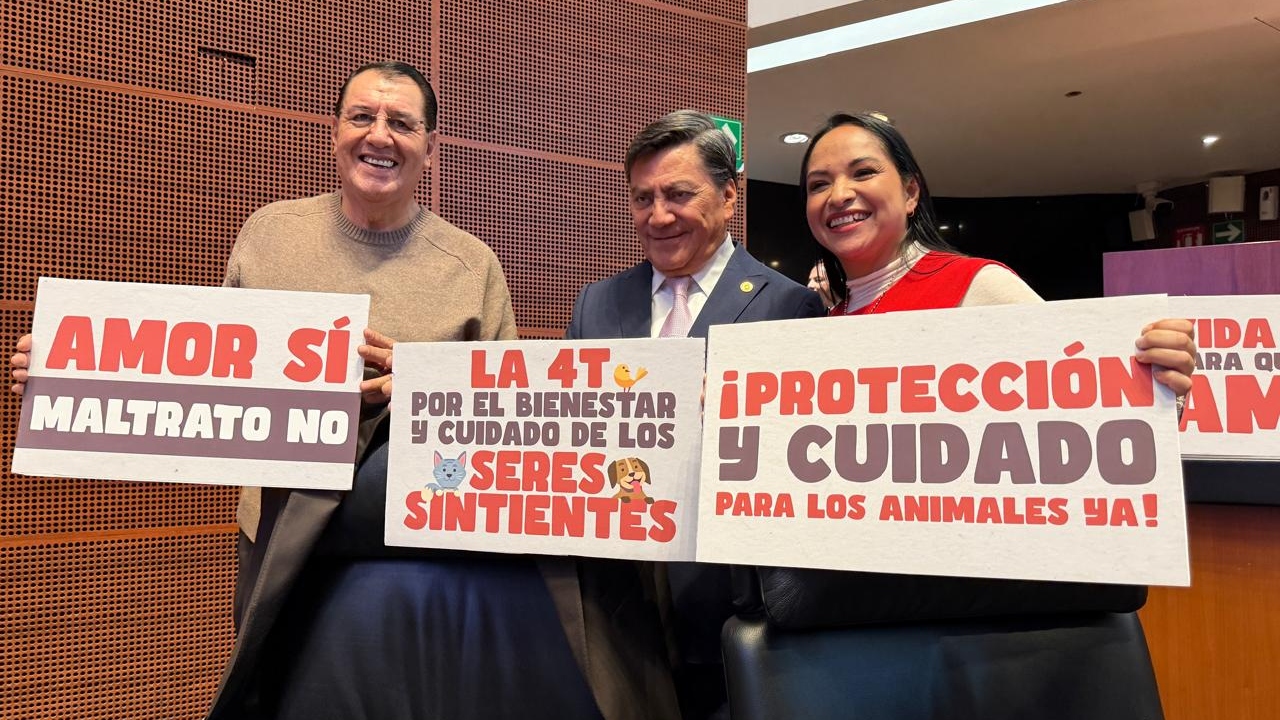 Bienestar Animal, una Realidad en México: Sánchez