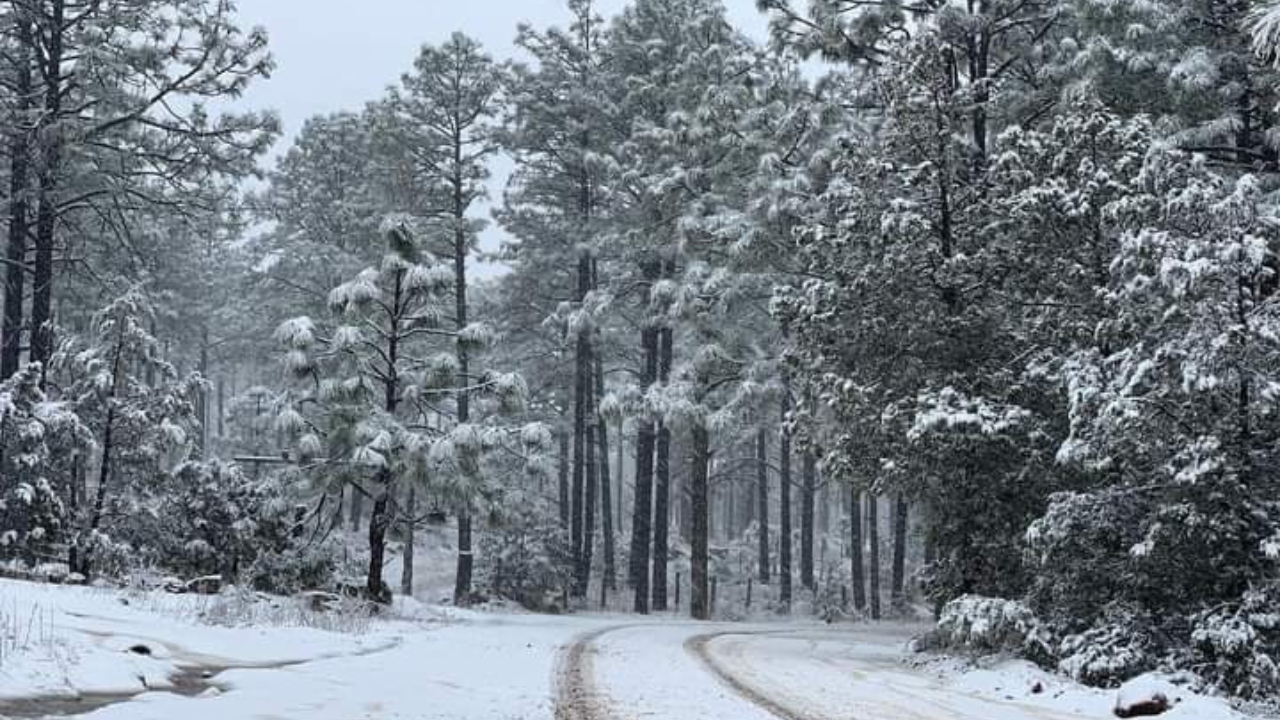 Caen en Chihuahua primeras nevadas en el país