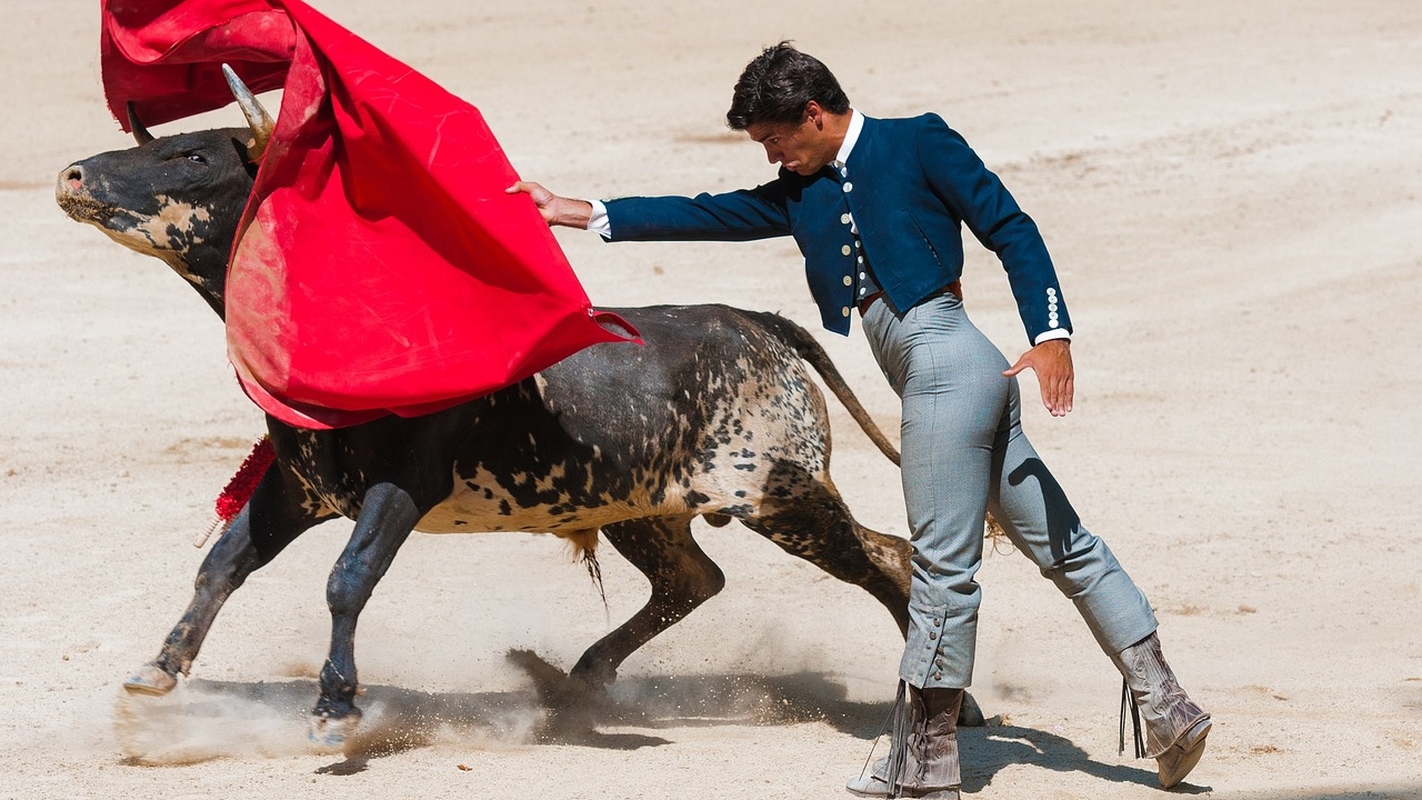 Se debe analizar propuesta para castigar tauromaquia: SSCP