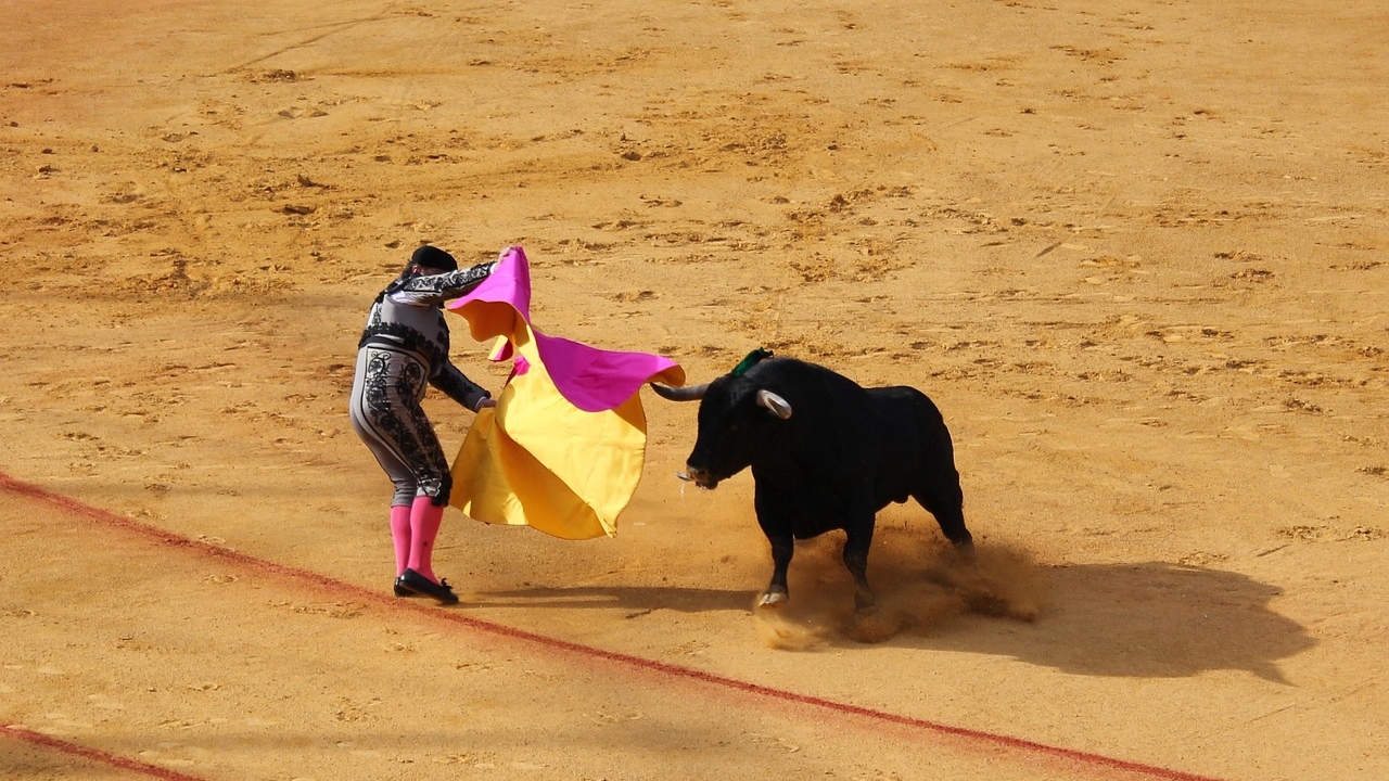 Piden animalistas suspender corrida de toros en Teziutlán