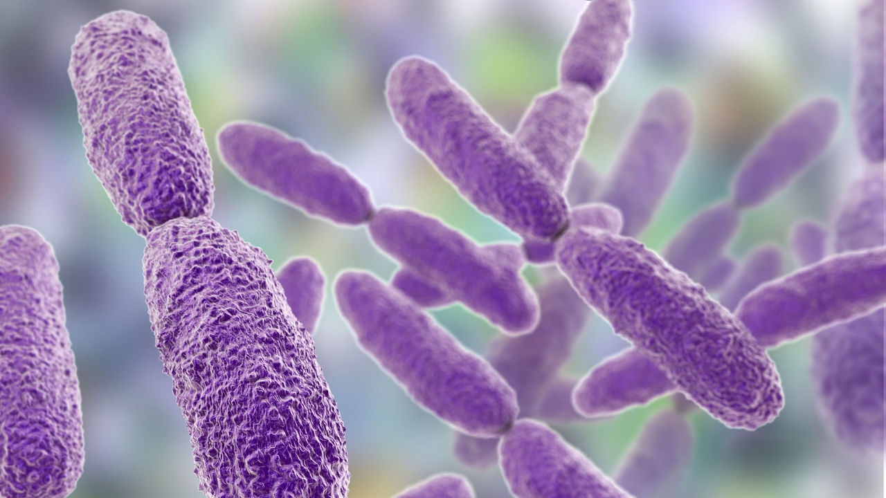 Secretaría de Salud alerta sobre brote de Klebsiella oxytoca en Edomex