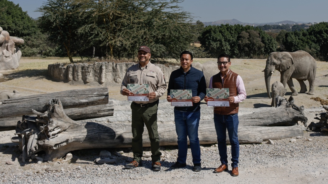 Reciclarán árboles con Campaña Verde Navidad 2024