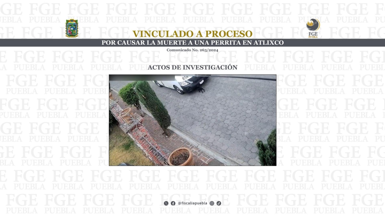 FGE: A proceso, sujeto por causar muerte de perrita en Atlixco