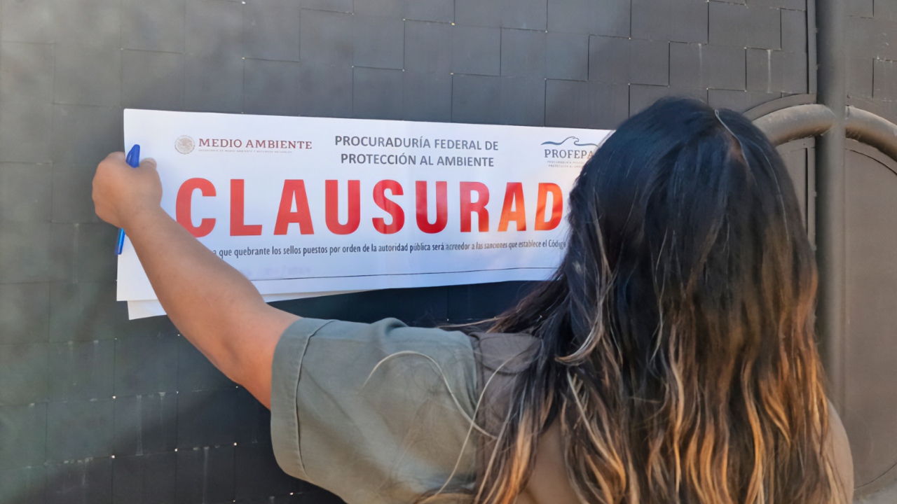 Clausura Profepa 20 predios en bosques; hay uno en Puebla