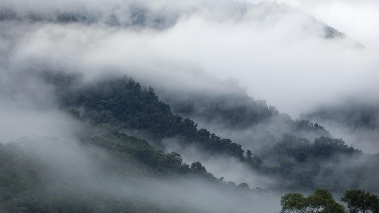 Tormenta invernal afectará varias regiones de México