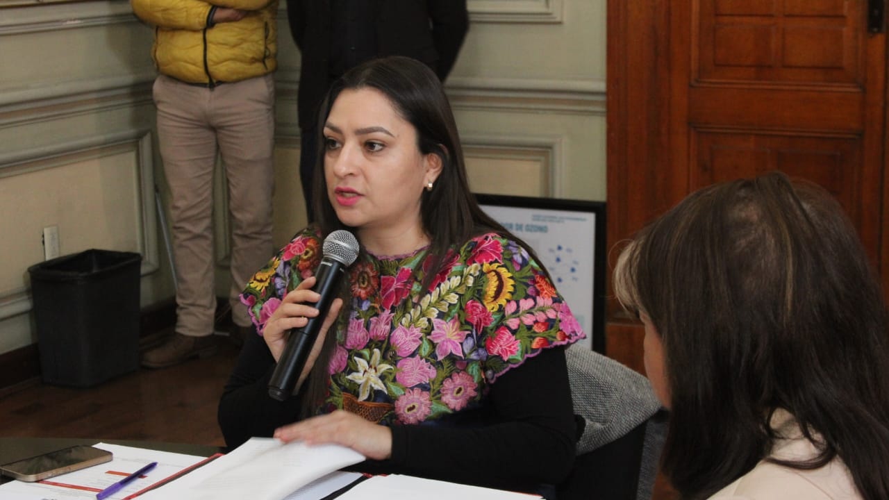 No se permitirá la violencia en el Ayuntamiento: Mayte Rivera