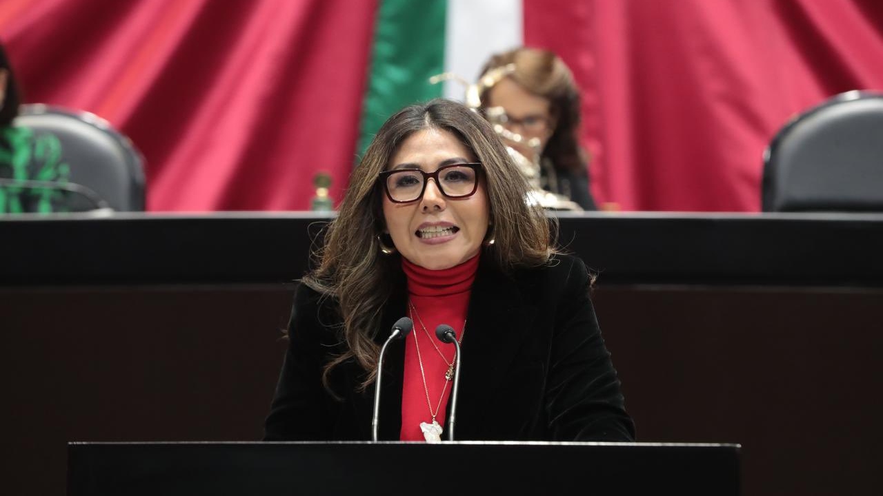 Hay que reparar al PAN para ganar elecciones: Genoveva Huerta