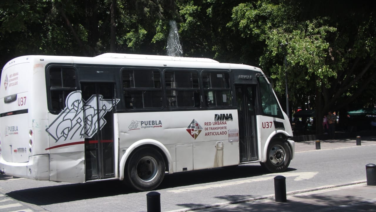 Línea 2 del RUTA renovará 105 unidades, afirma Norma Layón  