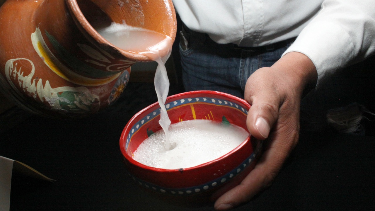 Zacatlán celebra segunda edición de la Ruta del Pulque