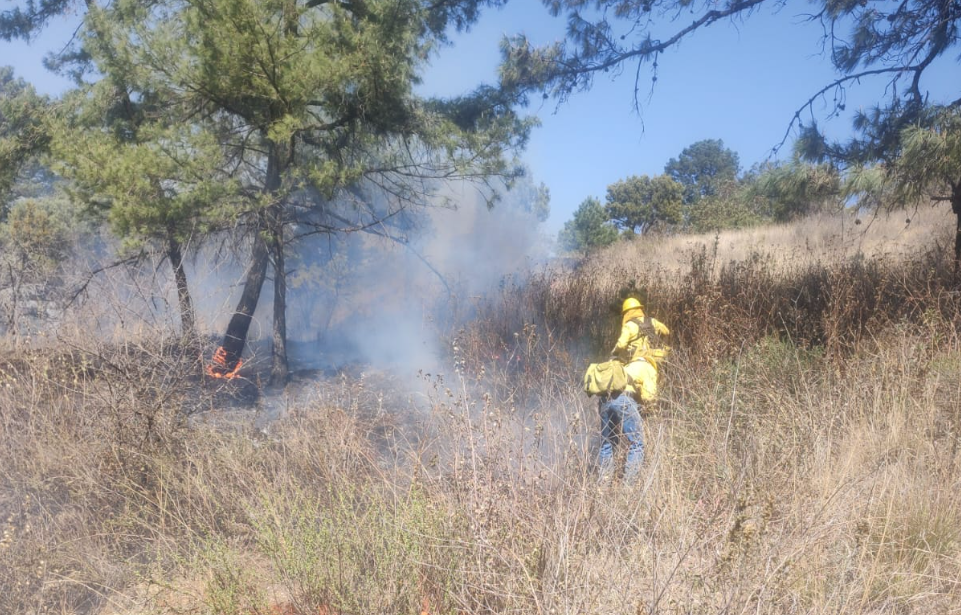 Advierte Estado y FGE acción de la justicia ante incendios provocados