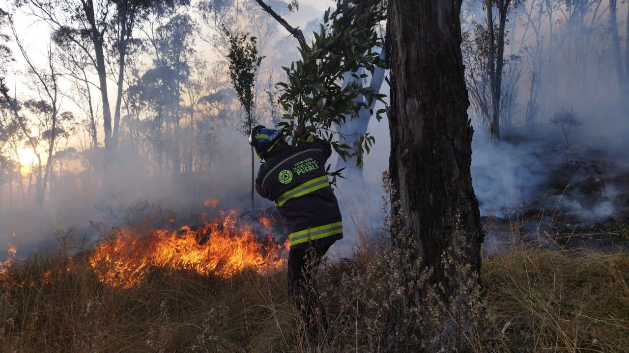 Prisión y multas para quienes provoquen un incendio en Puebla, advierte Estado