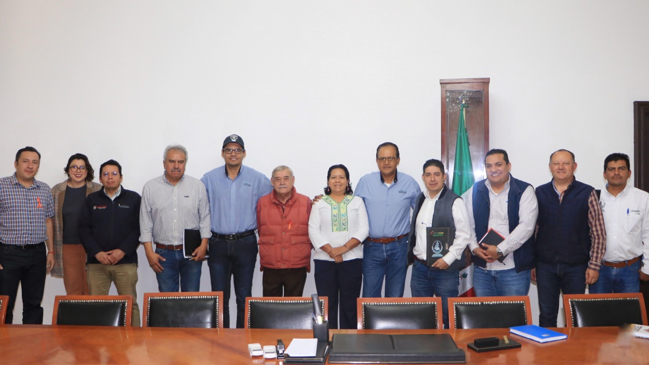 Implementa SDR estrategias para combatir plagas en la caña de azúcar