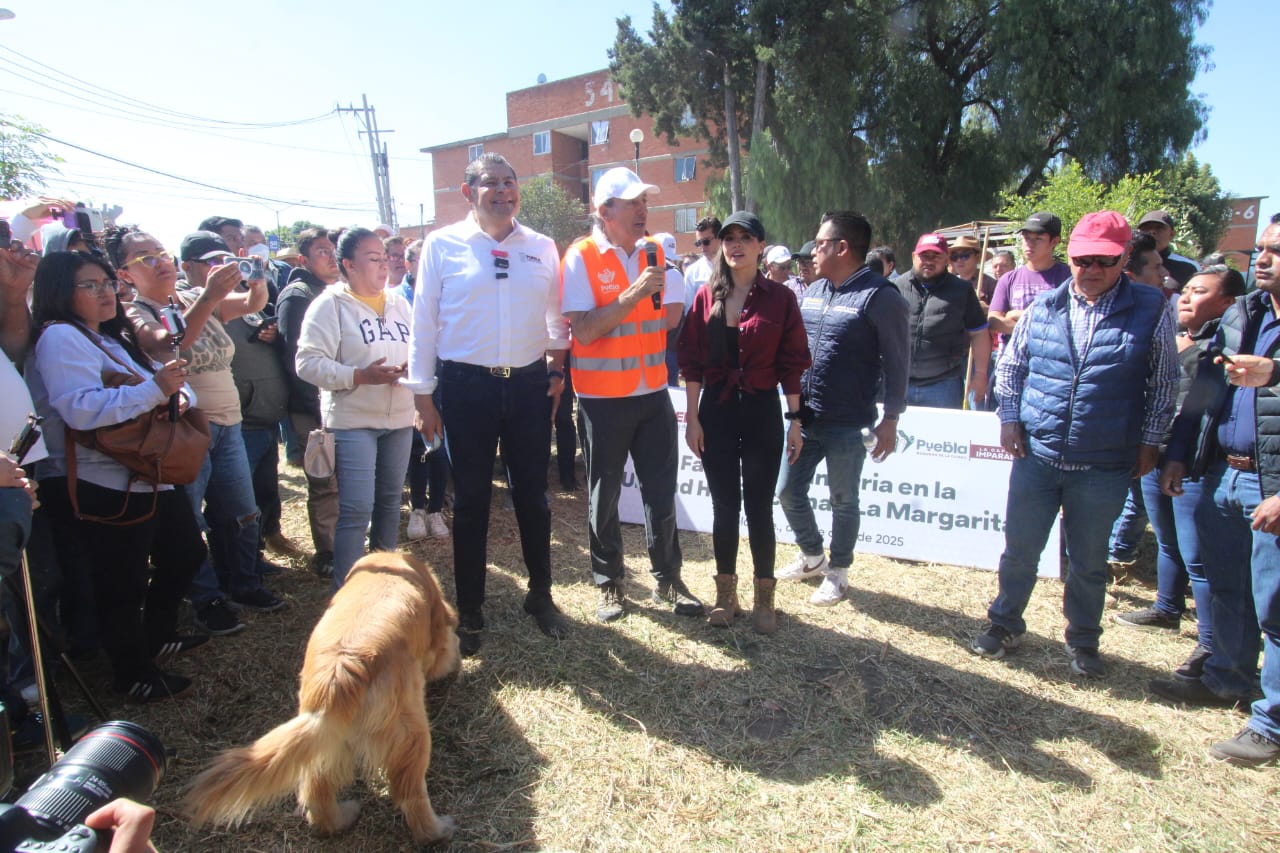 Sedena, GN y Marina investigan hallazgo de cuerpos en Los Fuertes