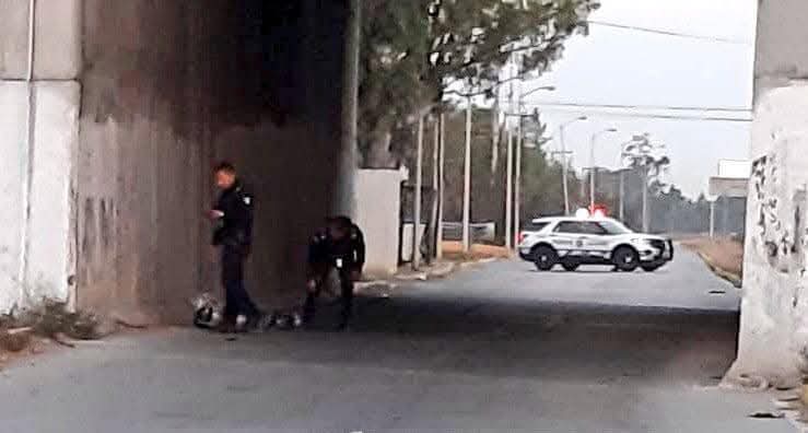 Localizan cuerpo embolsado sobre la Puebla - Orizaba