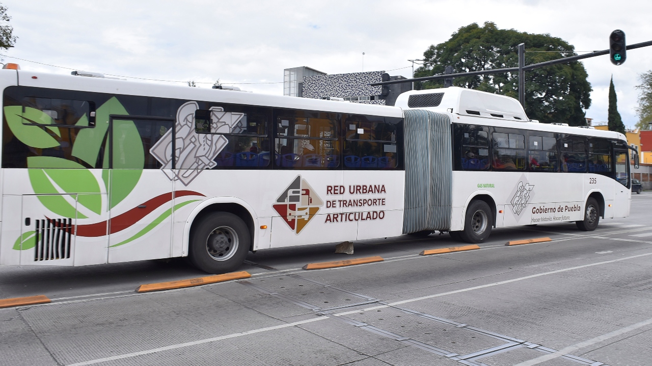 Estudio revela caída del 1.54% en transporte del RUTA entre 2024 y 2025