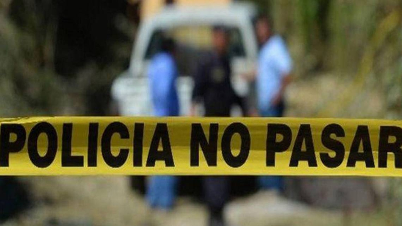 Segob confirma hallazgo de fosa con un cuerpo en Palmar de Bravo