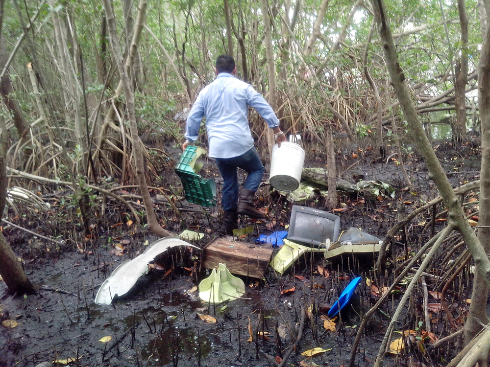 Voluntarios retiran casi dos toneladas de residuos del manglar en Chuburná, Yucatán
