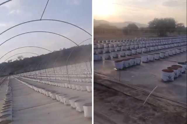 Preocupa impacto de invernaderos chinos en tierras y agua de Tehuacán
