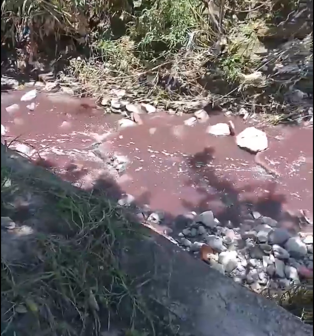 Detectan nueva contaminación en el río Alseseca; agua se tiñe de rojo y causa alarma