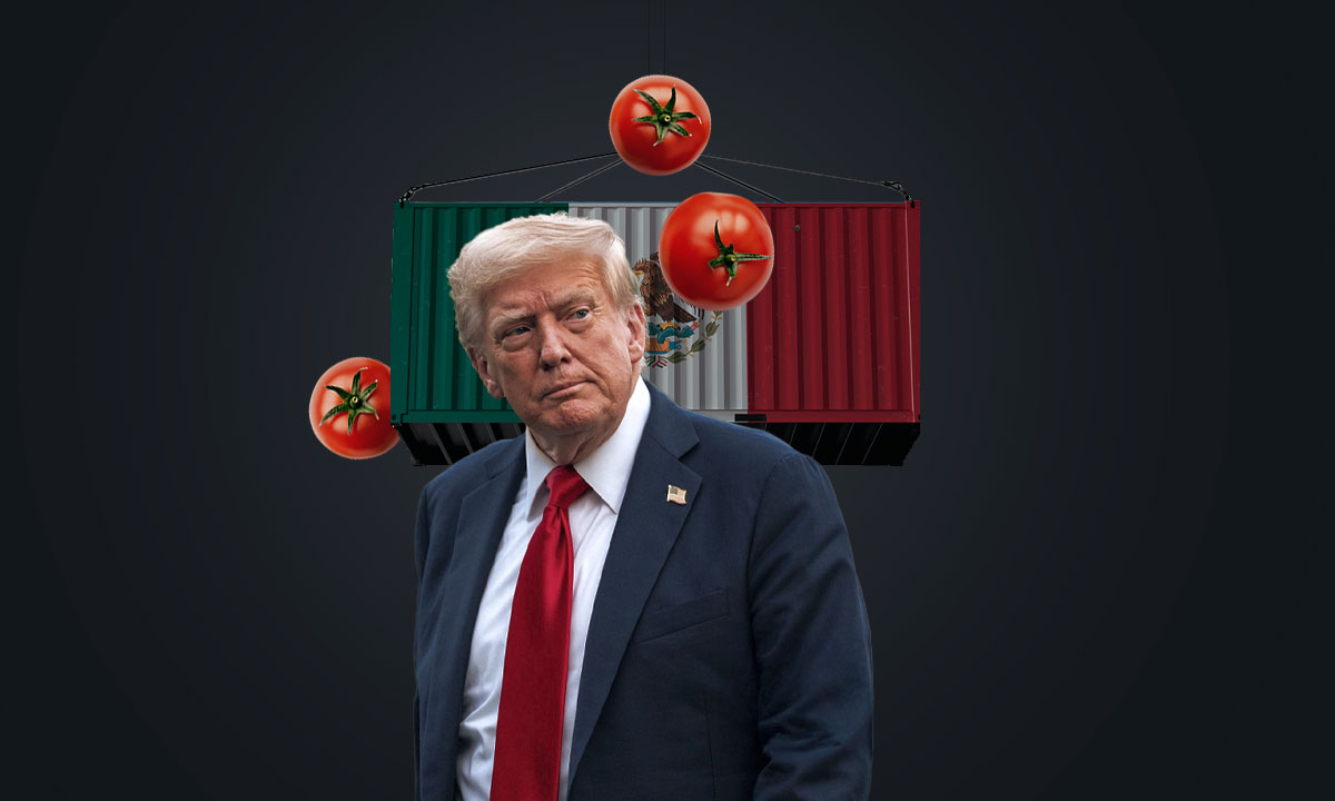 Estados Unidos aplicará un arancel del 17% al tomate mexicano.