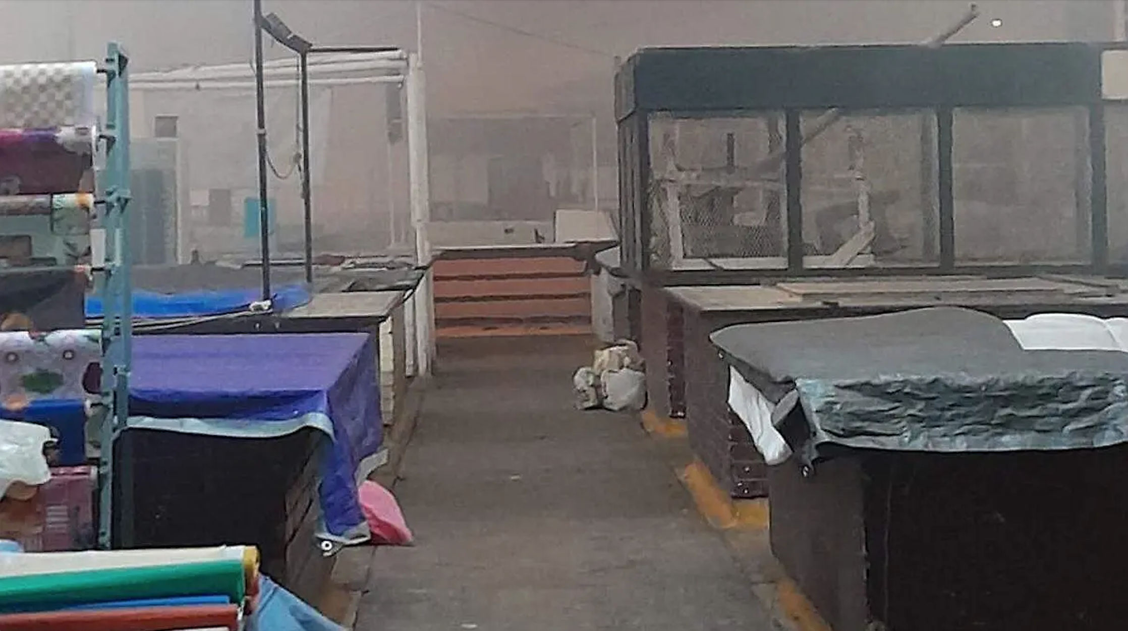 Fumigación sorpresa en mercado La Purísima provoca pérdidas y malestar entre comerciantes
