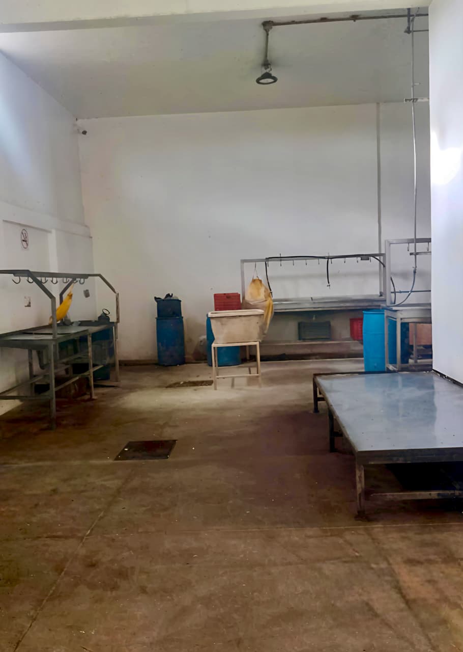 Rastro de Texmelucan garantiza carne segura y sin clembuterol