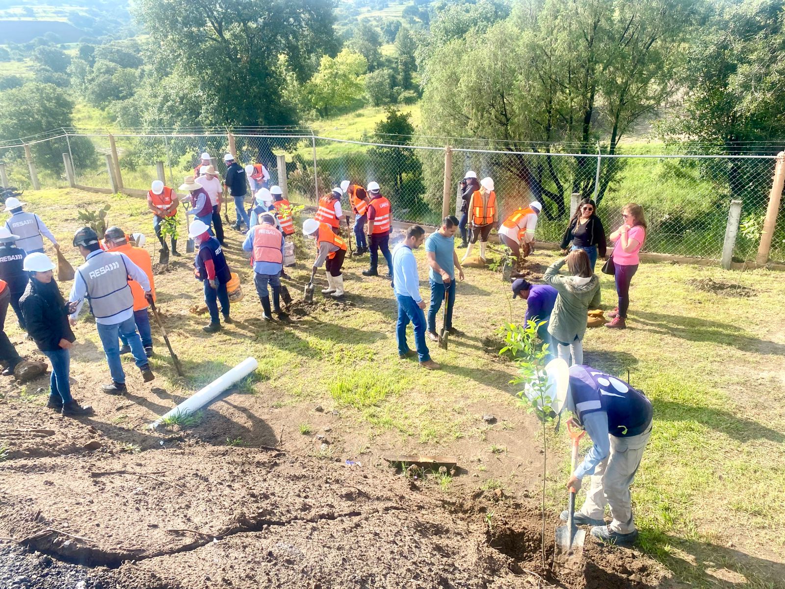 Gobierno de Puebla produce composta para reforestación con la campaña “Raíces del Futuro”