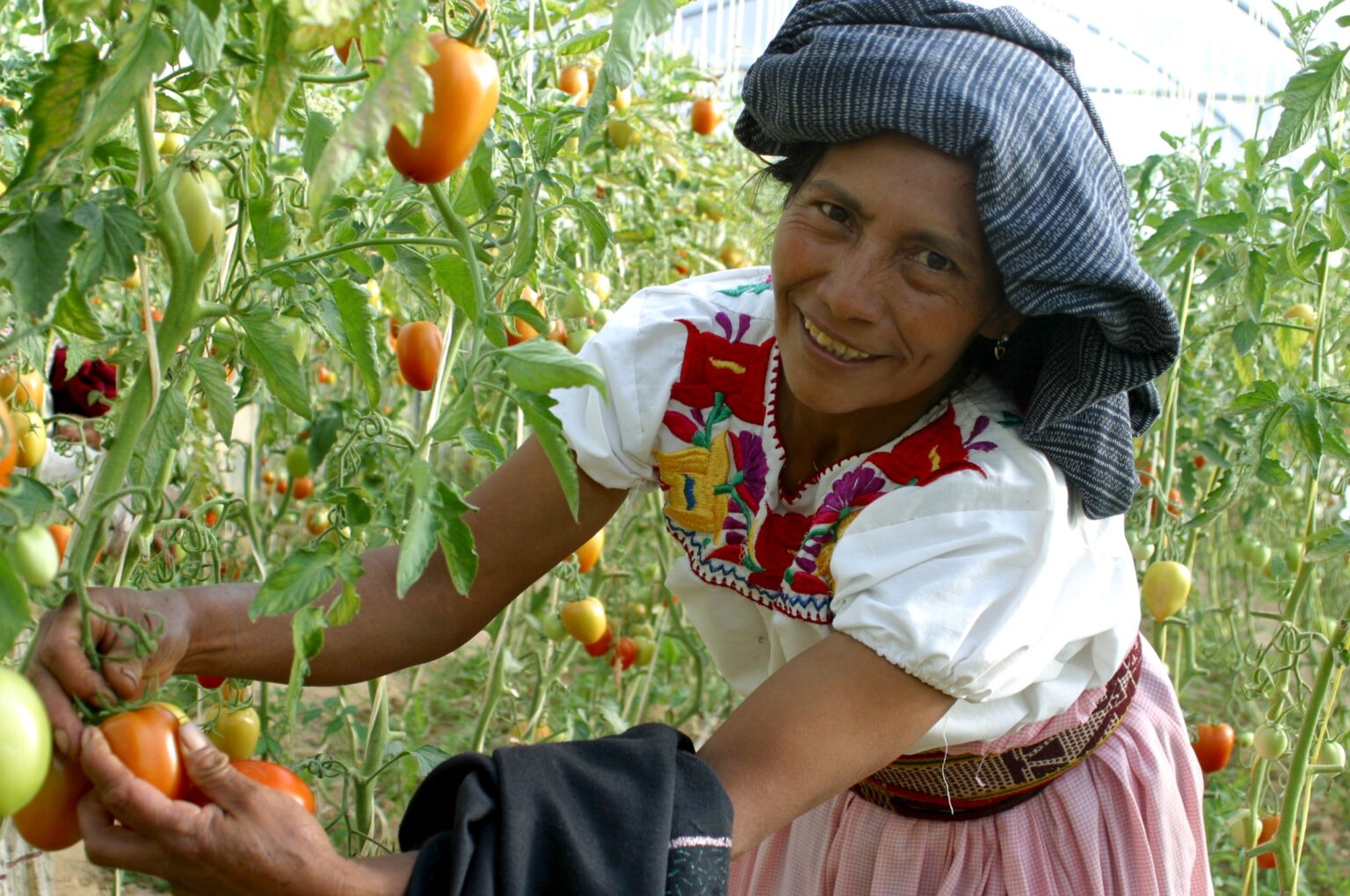 Mujeres rurales, clave en el desarrollo económico y social de Puebla