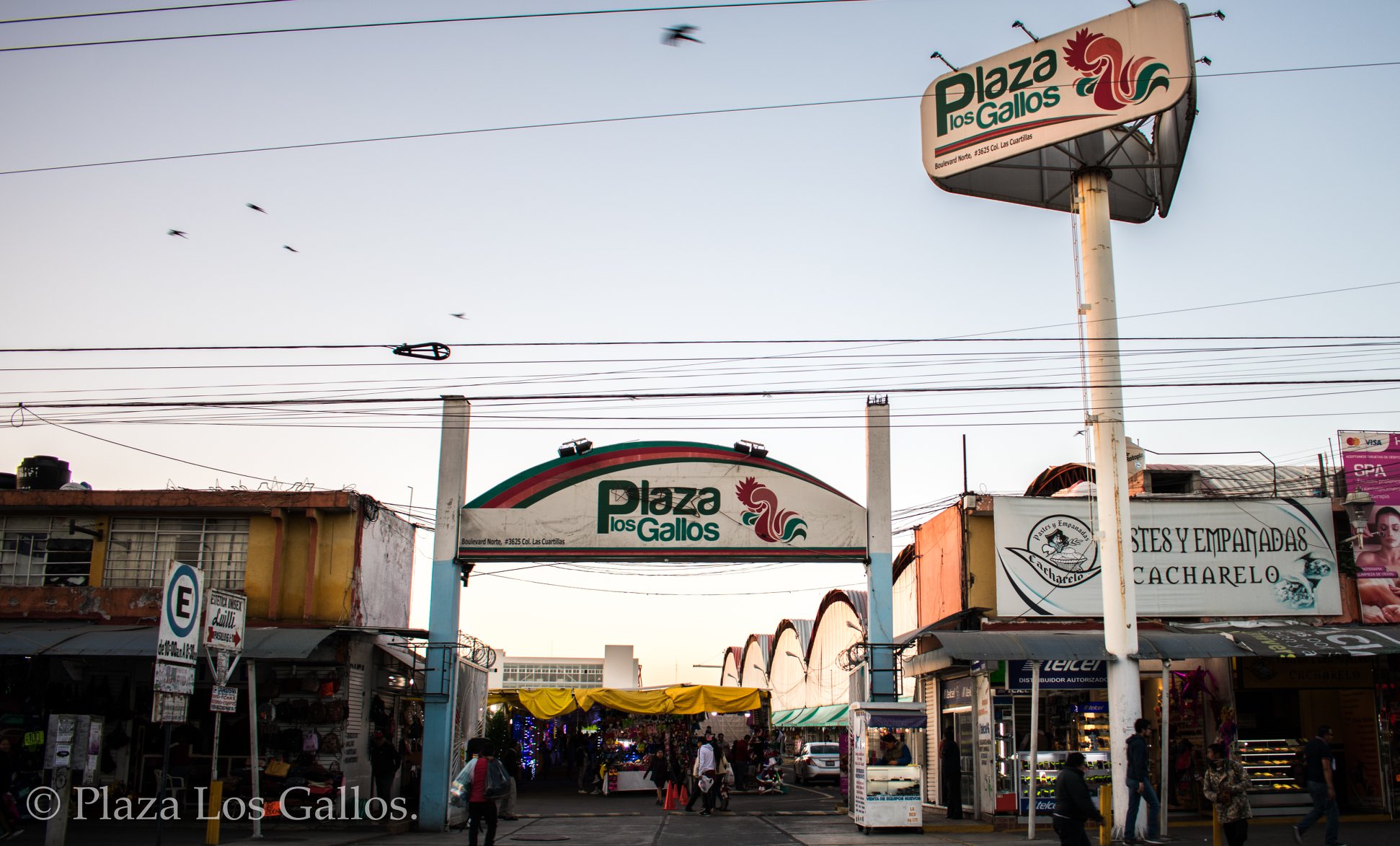 Amenazas en Plaza Los Gallos: locatarios exigen protección tras intentos de despojo