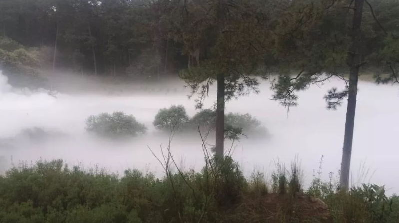 Evacuan a más de 3 mil personas por fuga de gas en Nanacamilpa, Tlaxcala