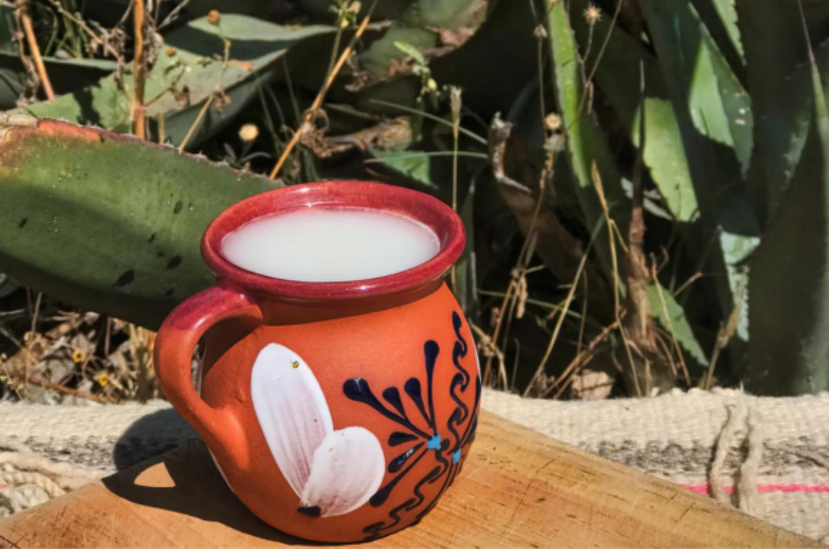El pulque llega al Centro Histórico con sabor, música y tradición