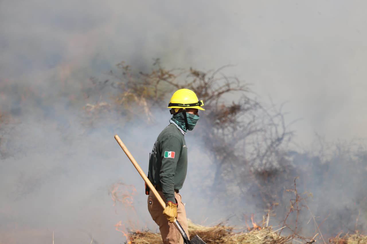 Puebla reduce 28% los incendios forestales y baja drásticamente la superficie afectada