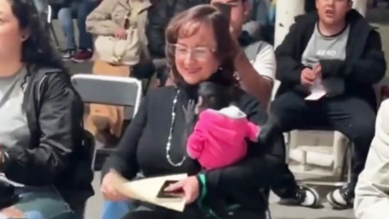 Renuncia regidora de Ocotlán tras polémica por mono araña