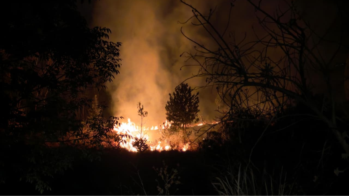 Frenan fuego en el Cerro Zapotecas: Incendio bajo control al 95 % y sin riesgo para Cholula