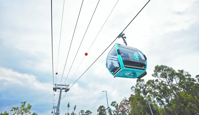 Impacto ambiental del Cablebús será mínimo; solo afectará a una tercera parte de los 350 árboles previstos: García Parra