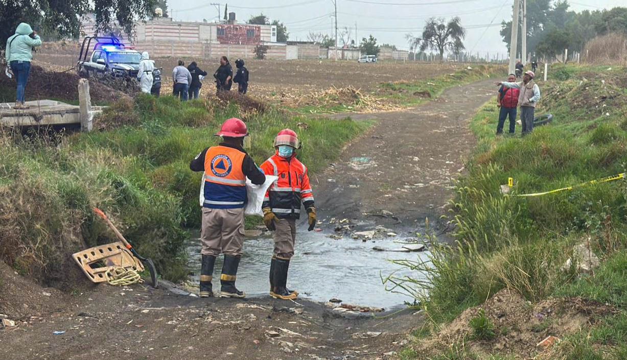 Investigan hallazgo de siete perros muertos con signos de crueldad en Huejotzingo, Puebla