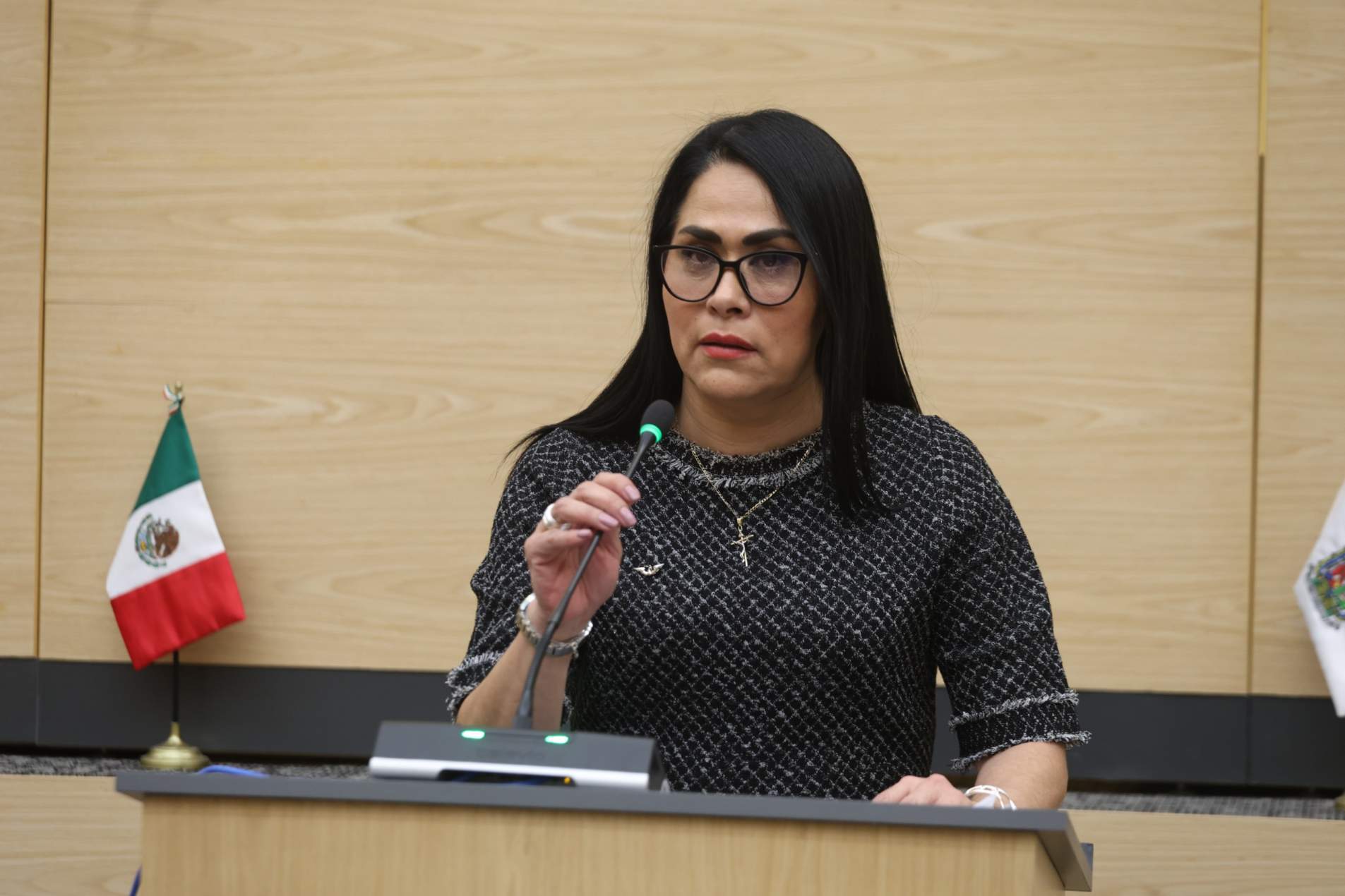 Fedrha Suriano exige comparecencia de Seguridad Pública por presencia del CJNG en Puebla