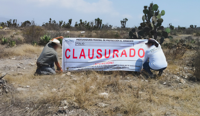 Profepa clausura 45 hectáreas de lotificación ilegal en la Reserva de la Biosfera de Tehuacán