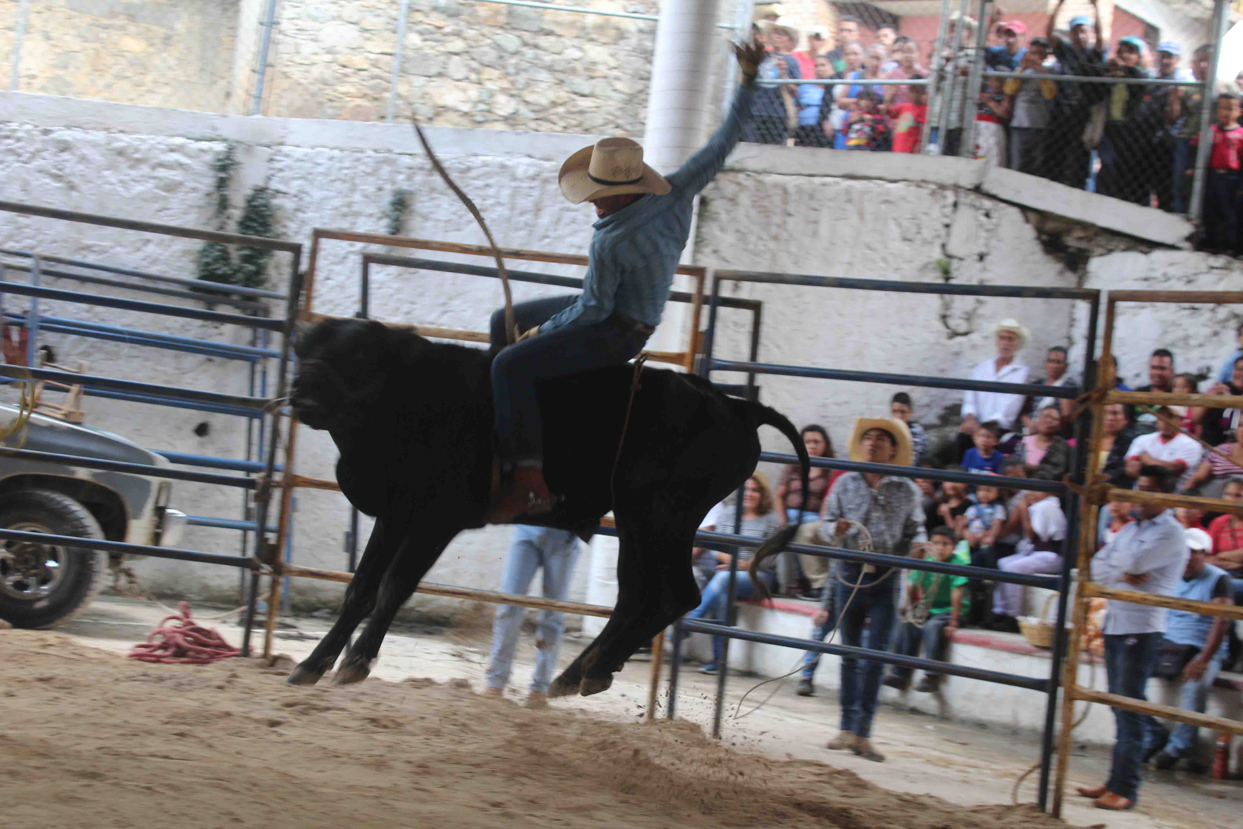 Frenan \"Rodeo Baile\" en Tepeaca tras denuncia por maltrato animal