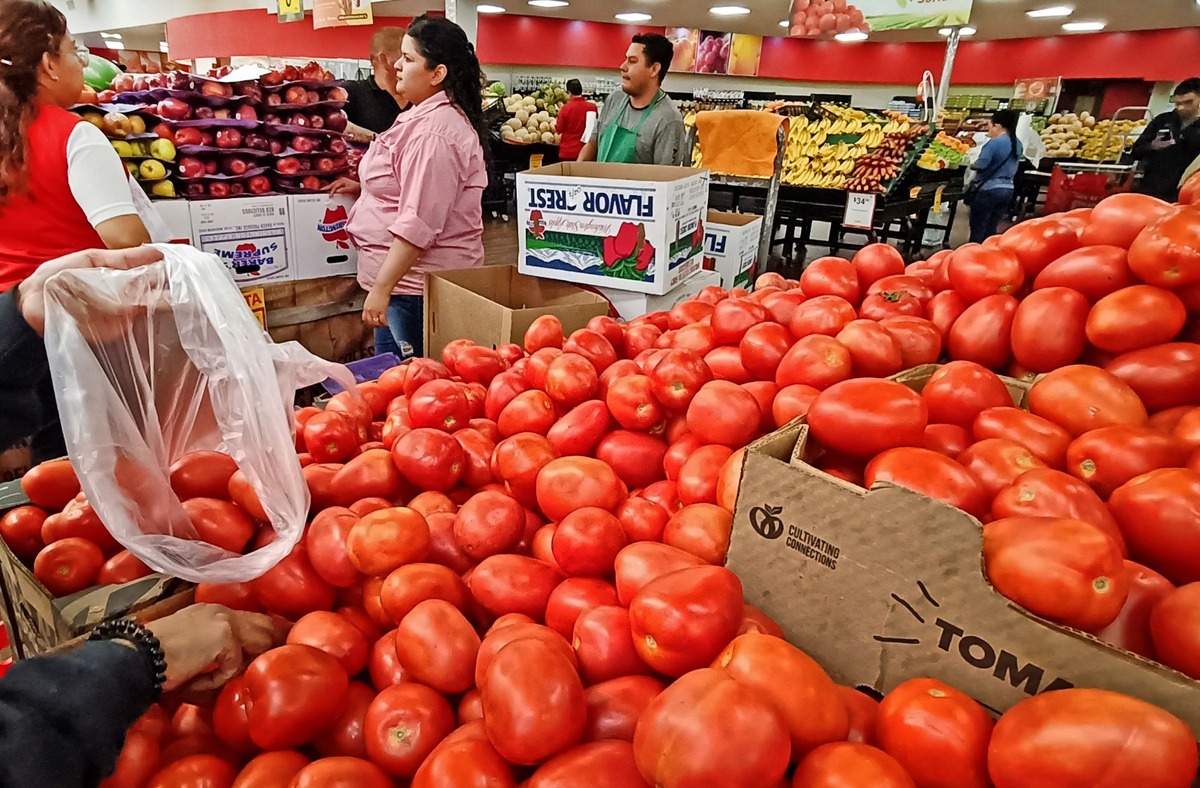 Precio del jitomate seguirá alto hasta verano por desabasto y menor producción, advierten productores
