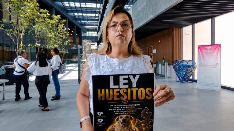 Impulsan la “Ley Huesitos” en el Congreso de Puebla; van por sanciones a municipios omisos y padrón de maltratadores